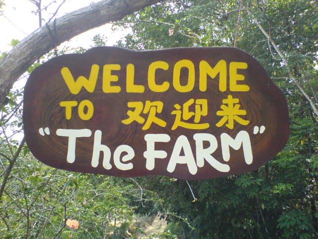 Welcome 欢迎